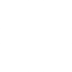 phone-icon